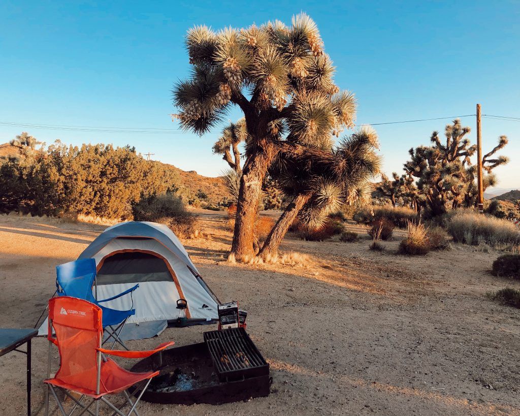 Joshua Tree Campground