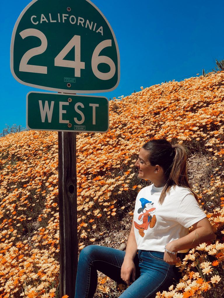 California 246