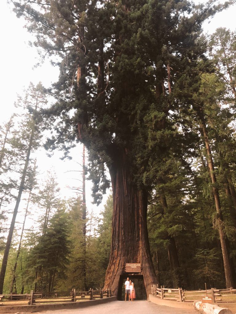 Chandelier Tree