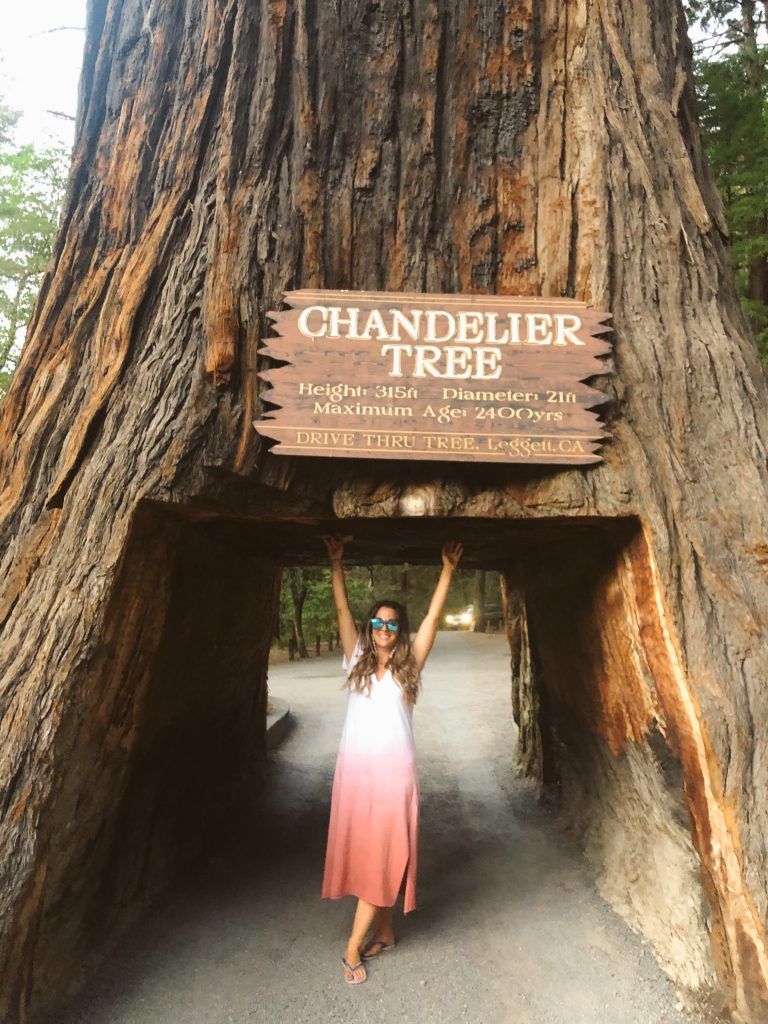 Chandelier Tree