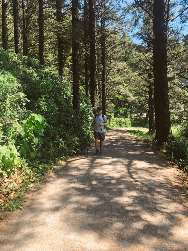 Lighthouse trail