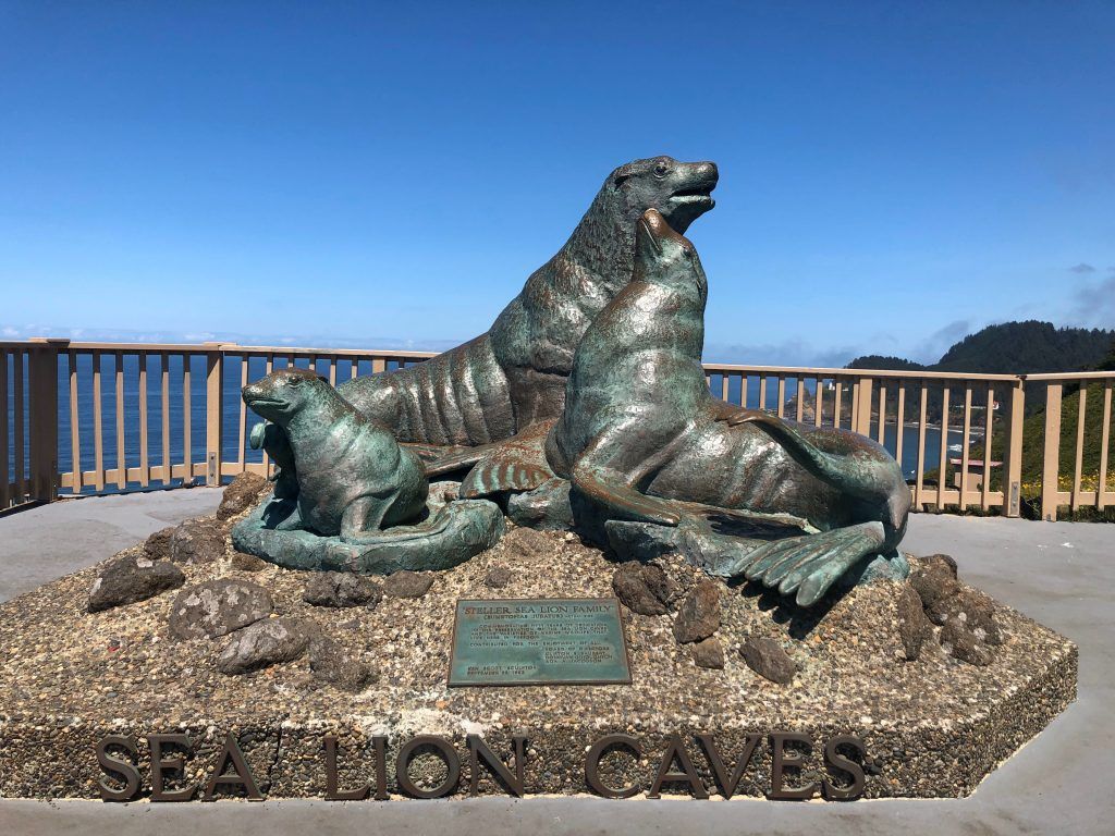 Sea Lion Caves