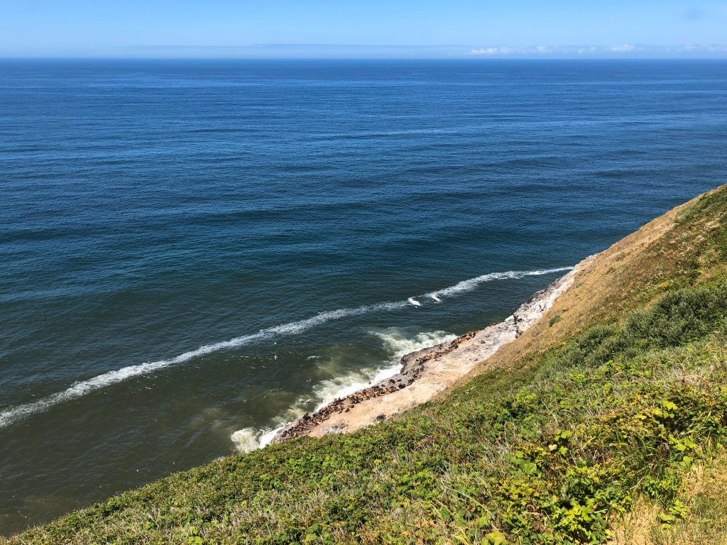 Sea Lion Caves