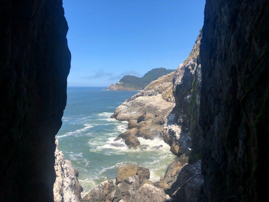 Sea Lion Caves