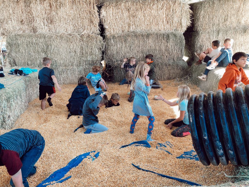 Legacy Farm
