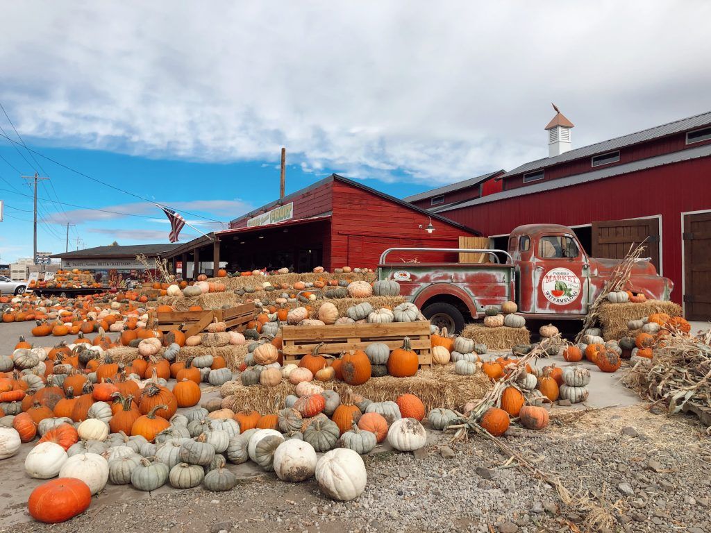 Tagge's Farm