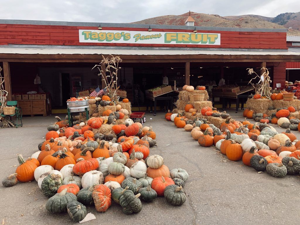 Tagge's Farm fruit