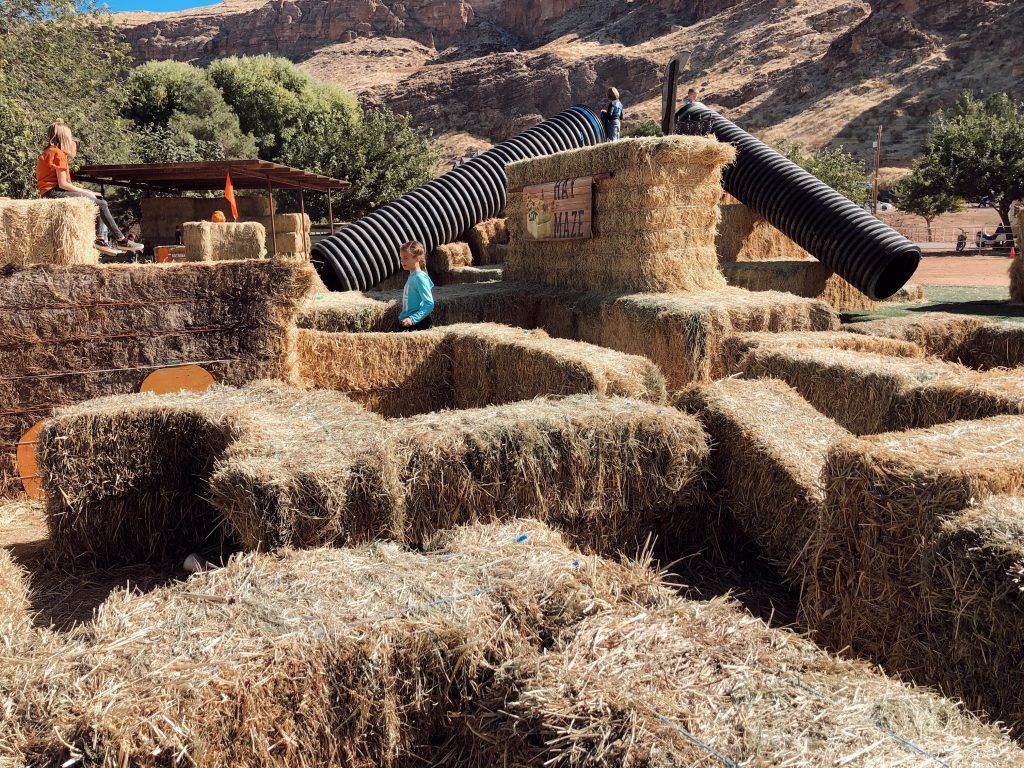 Hay maze