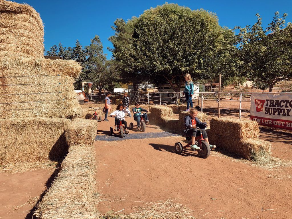 Hay maze