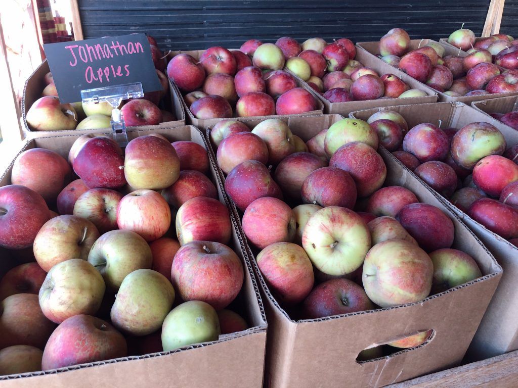 johathan apples