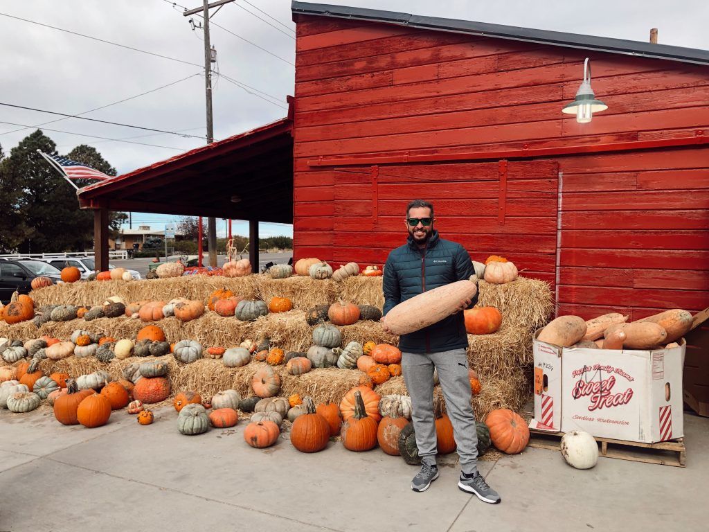 pumpkin patch 2