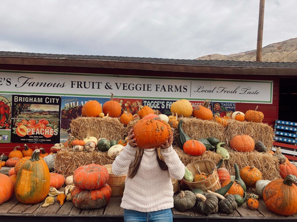 pumpkin patch 3