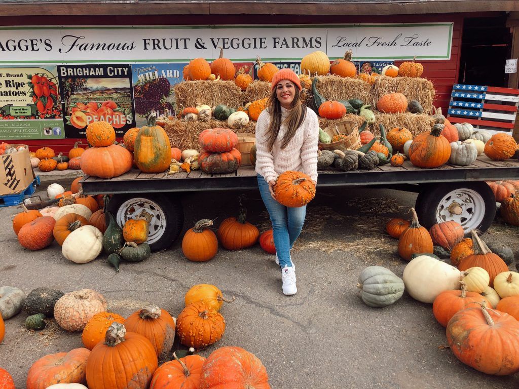 pumpkin patch 5