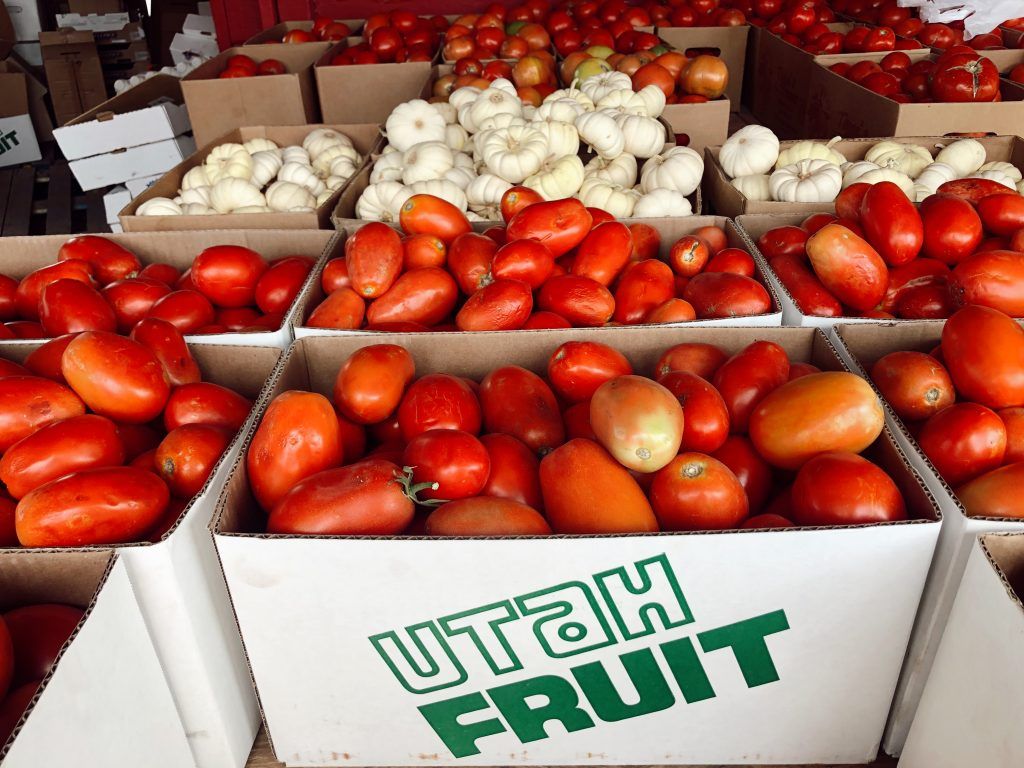 tomatoes