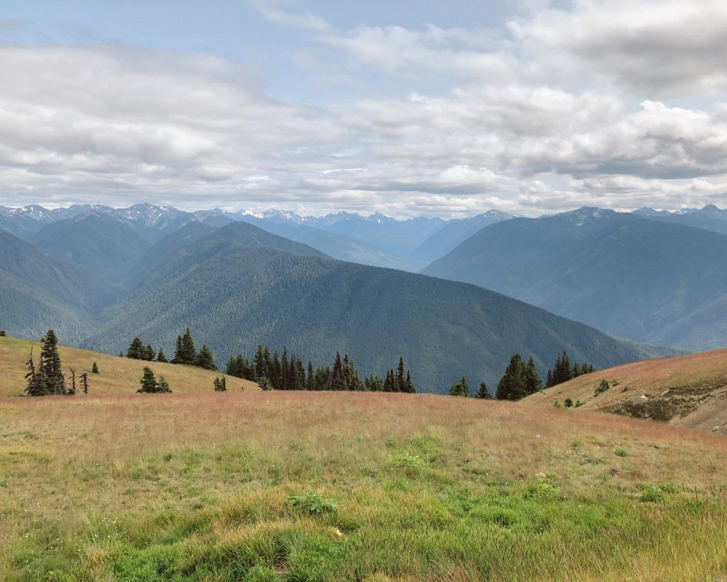 Olympic National Park