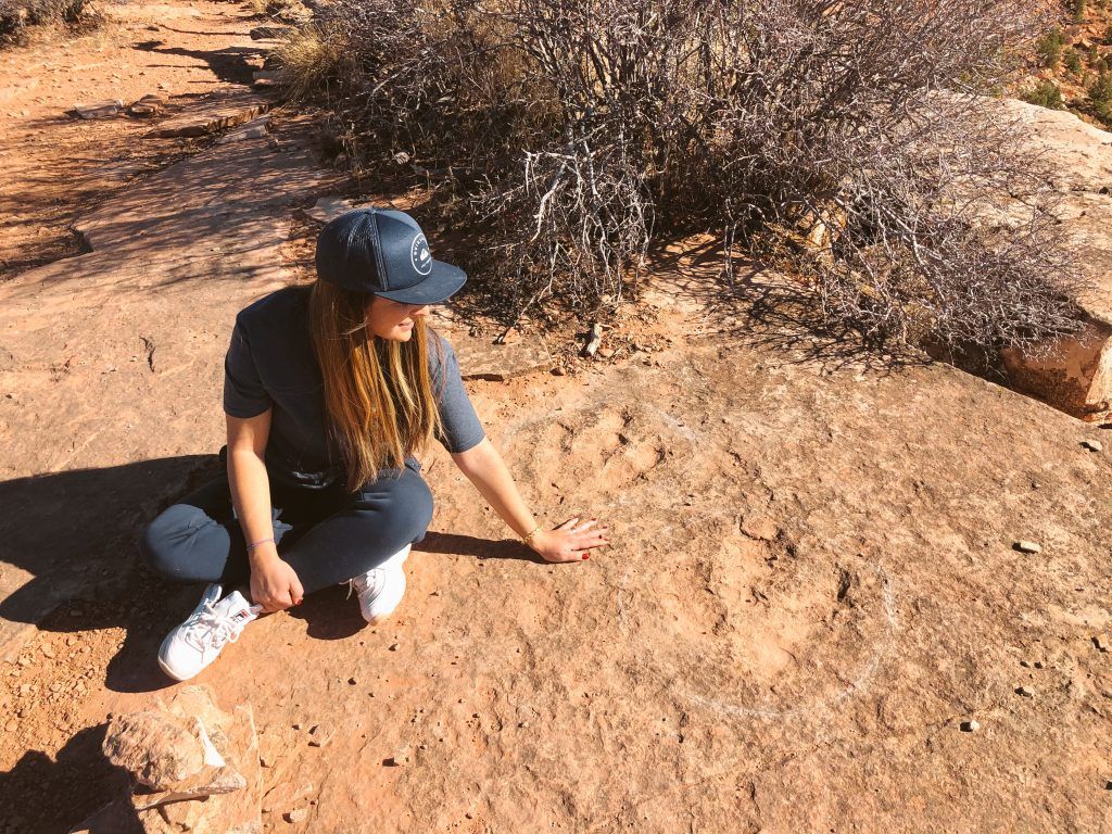 Dinosaur Tracks